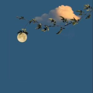 دانلود آهنگ شب و هر شب توی رویای منی
